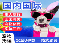 宁波机场物流国际宠物托运 【国